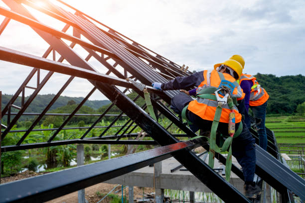 Best Metal Roofing Contractor  in Carencro, LA