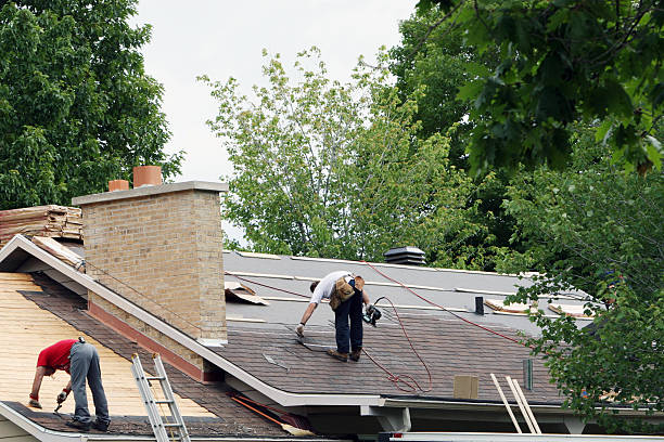 Best Roof Gutter Cleaning  in Carencro, LA